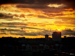 Обзор смартфона HONOR 400 Pro: настоящая уличная магия