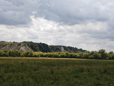 Обзор смартфона HONOR 400 Pro: настоящая уличная магия