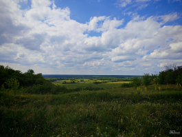 Обзор смартфона HONOR 400 Pro: настоящая уличная магия