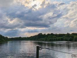 Обзор смартфона HONOR 400 Pro: настоящая уличная магия