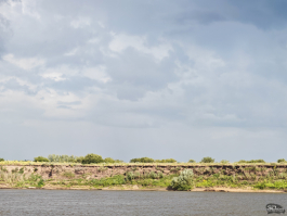 Обзор смартфона HONOR 400 Pro: настоящая уличная магия