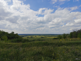 Обзор смартфона HONOR 400 Pro: настоящая уличная магия