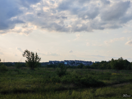 Обзор смартфона HONOR 400 Pro: настоящая уличная магия