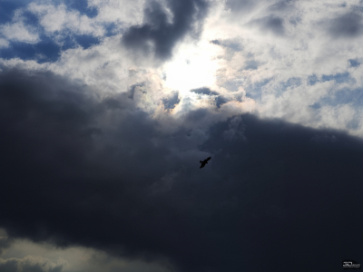 Обзор смартфона HONOR 400 Pro: настоящая уличная магия