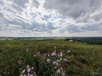 Обзор смартфона HONOR 400 Pro: настоящая уличная магия
