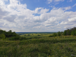 Обзор смартфона HONOR 400 Pro: настоящая уличная магия