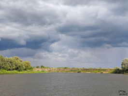 Обзор смартфона HONOR 400 Pro: настоящая уличная магия