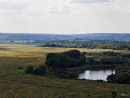 Обзор смартфона HONOR 400 Pro: настоящая уличная магия