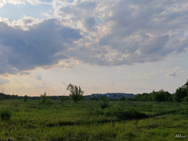 Обзор смартфона HONOR 400 Pro: настоящая уличная магия