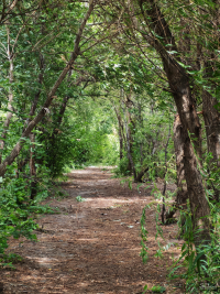 Обзор смартфона HONOR 400: реаниматор