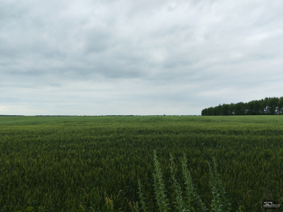 Обзор смартфона HONOR 400: реаниматор