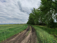 Обзор смартфона HONOR 400: реаниматор