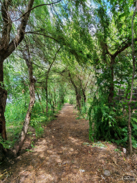 Обзор смартфона HONOR 400: реаниматор