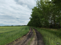 Обзор смартфона HONOR 400: реаниматор