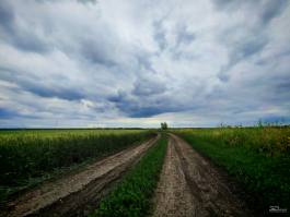 Обзор смартфона HONOR 400: реаниматор