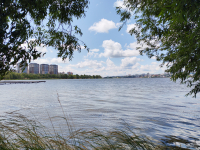 Обзор смартфона HONOR 400: реаниматор