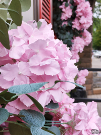 Обзор смартфона HONOR 400: реаниматор