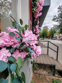 Обзор смартфона HONOR 400: реаниматор