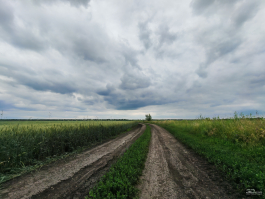 Обзор смартфона HONOR 400: реаниматор