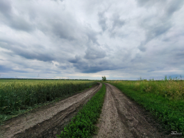 Обзор смартфона HONOR 400: реаниматор