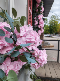 Обзор смартфона HONOR 400: реаниматор