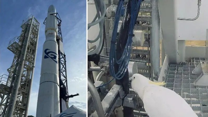 Попугай оправдан в деле о срыве пуска первой австралийской ракеты, но попытка старта снова отложена