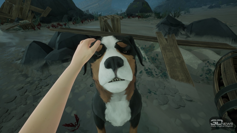 Two Falls (Nishu Takuatshina) &mdash; в поисках взаимопонимания. Рецензия