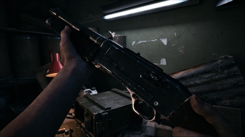 Упор на сюжет, жуткие анимации и физическое ощущение ужаса: новые подробности гротескного хоррора Ill