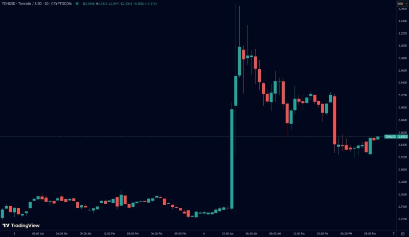 Власти ОАЭ опровергли информацию о выдаче 10-летних «золотых виз» за стейкинг TON