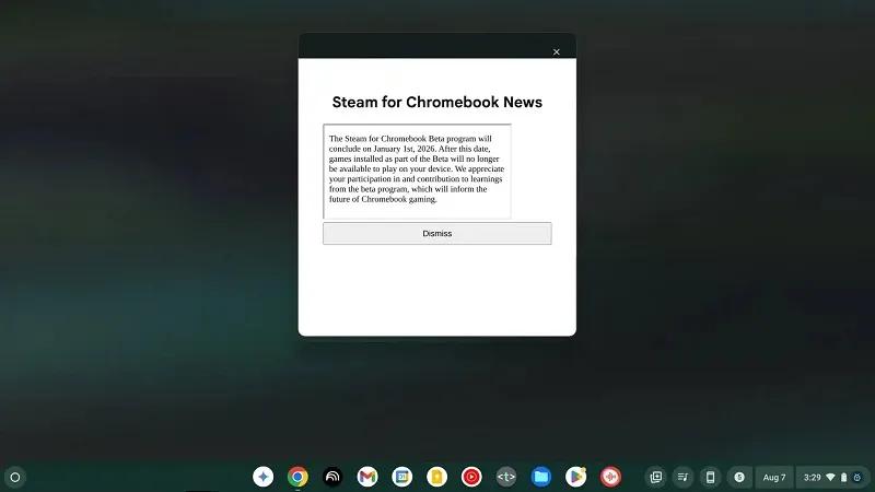 Эксперимент, очевидно, неудачный: Steam для хромбуков так и не выйдет из «беты»