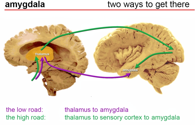 ИИтоги июля 2025 г.: робот или человек?