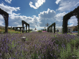 Обзор Infinix GT 30 Pro: игровой смартфон среднего класса с мощью субфлагмана