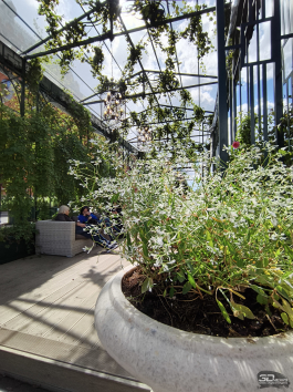 Обзор Infinix GT 30 Pro: игровой смартфон среднего класса с мощью субфлагмана