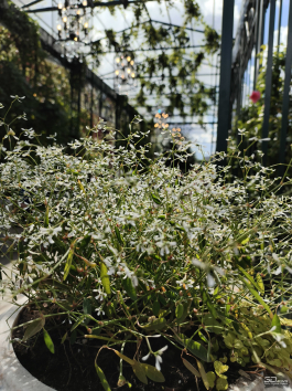 Обзор Infinix GT 30 Pro: игровой смартфон среднего класса с мощью субфлагмана