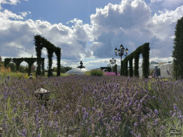 Обзор Infinix GT 30 Pro: игровой смартфон среднего класса с мощью субфлагмана