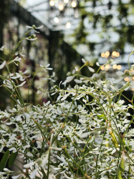 Обзор Infinix GT 30 Pro: игровой смартфон среднего класса с мощью субфлагмана