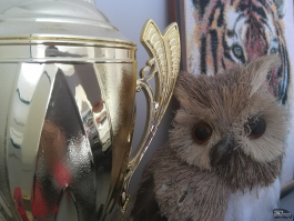 Обзор планшета HUAWEI MatePad 11,5'' (2025): апгрейд без бликов