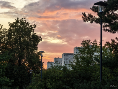 Обзор смартфона HUAWEI Pura 80 Pro: разумный флагман с мощнейшей камерой