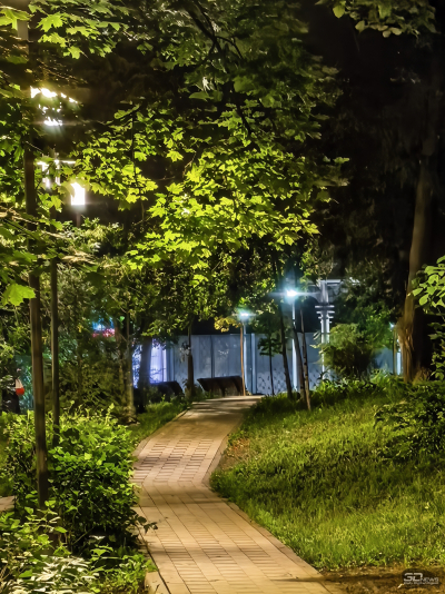 Обзор смартфона HUAWEI Pura 80 Pro: разумный флагман с мощнейшей камерой