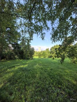 Обзор смартфона HUAWEI Pura 80 Pro: разумный флагман с мощнейшей камерой