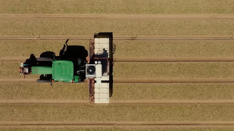 Сорняки на полях теперь буквально выжигают лазером &mdash; при чём здесь Nvidia?