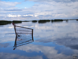 Обзор складного смартфона HONOR Magic V5: снова самый тонкий, но есть нюансы