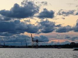 Обзор складного смартфона HONOR Magic V5: снова самый тонкий, но есть нюансы