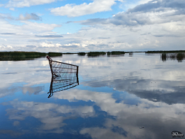 Обзор складного смартфона HONOR Magic V5: снова самый тонкий, но есть нюансы