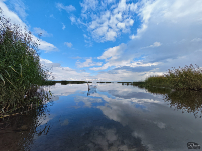 Обзор складного смартфона HONOR Magic V5: снова самый тонкий, но есть нюансы