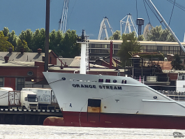 Обзор складного смартфона HONOR Magic V5: снова самый тонкий, но есть нюансы