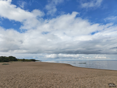 Обзор складного смартфона HONOR Magic V5: снова самый тонкий, но есть нюансы