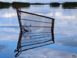 Обзор складного смартфона HONOR Magic V5: снова самый тонкий, но есть нюансы