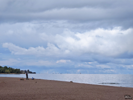 Обзор складного смартфона HONOR Magic V5: снова самый тонкий, но есть нюансы