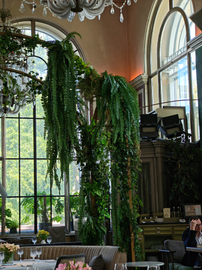 Обзор складного смартфона HONOR Magic V5: снова самый тонкий, но есть нюансы